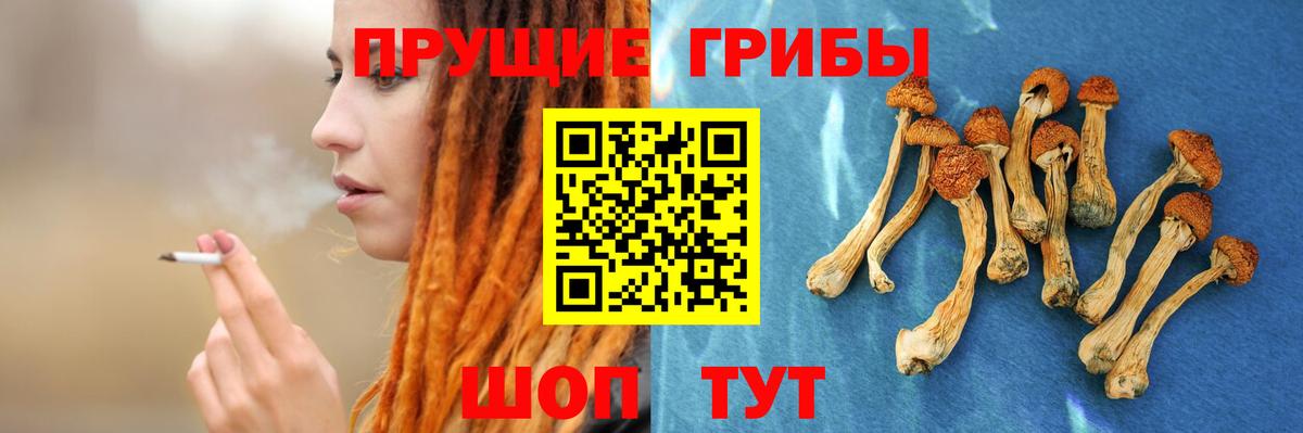 Псилоцибиновые грибы ЛСД Можайск